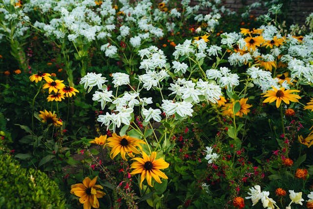 Monsoon garden atmosphere