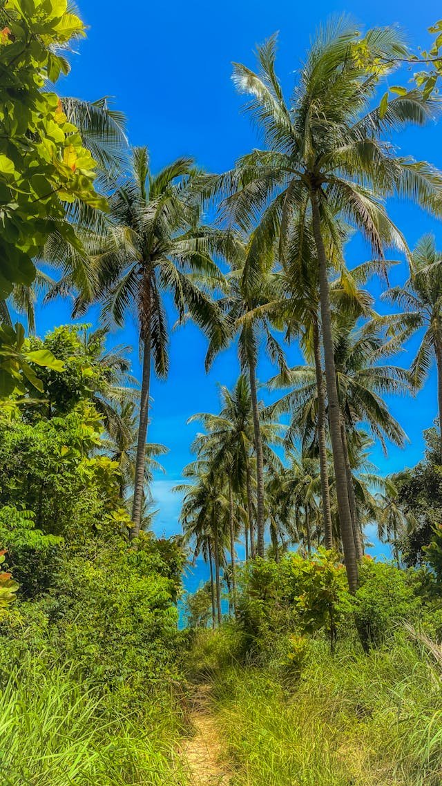 Tropical Biome Tour